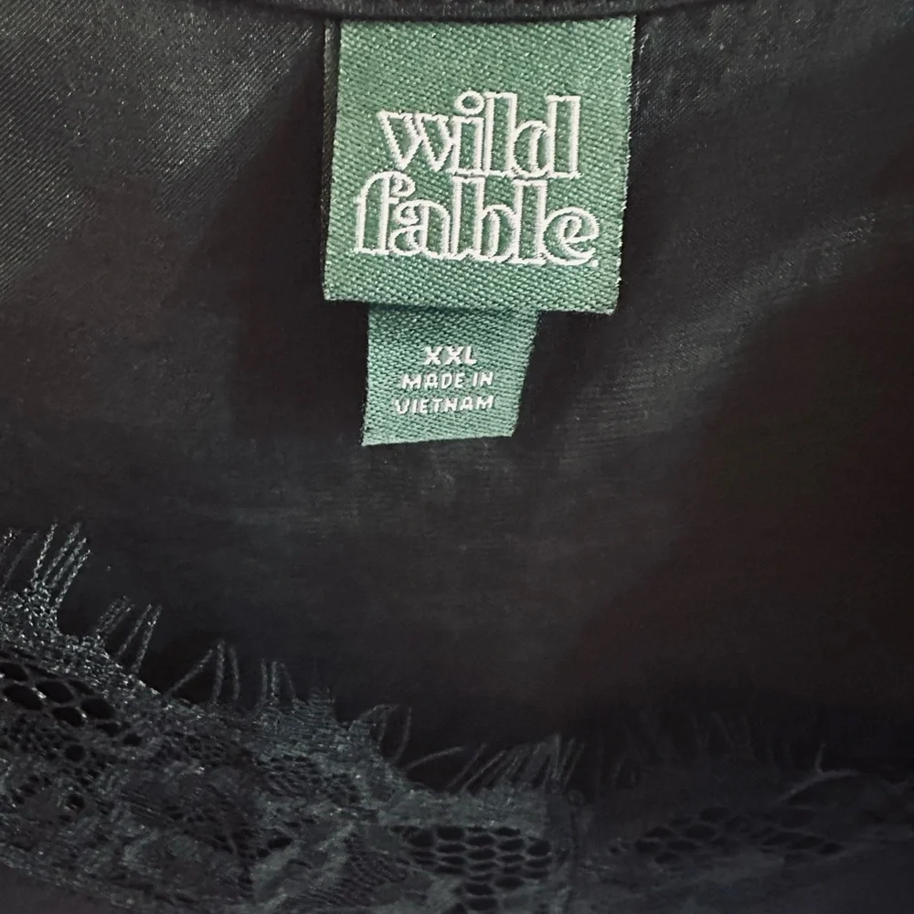 Wild Fable Black Silky Lace Trim Cami Top, XXL - Picture 3 of 5